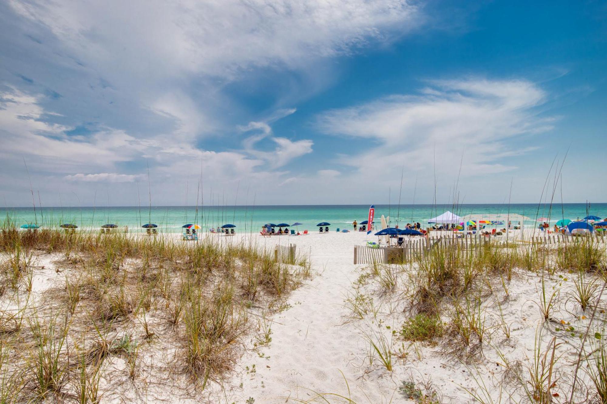 Remarkably Updated 3/2 In Seagrove Highlands - Gulf Views Sleeps 9! 圣罗莎海滩 外观 照片