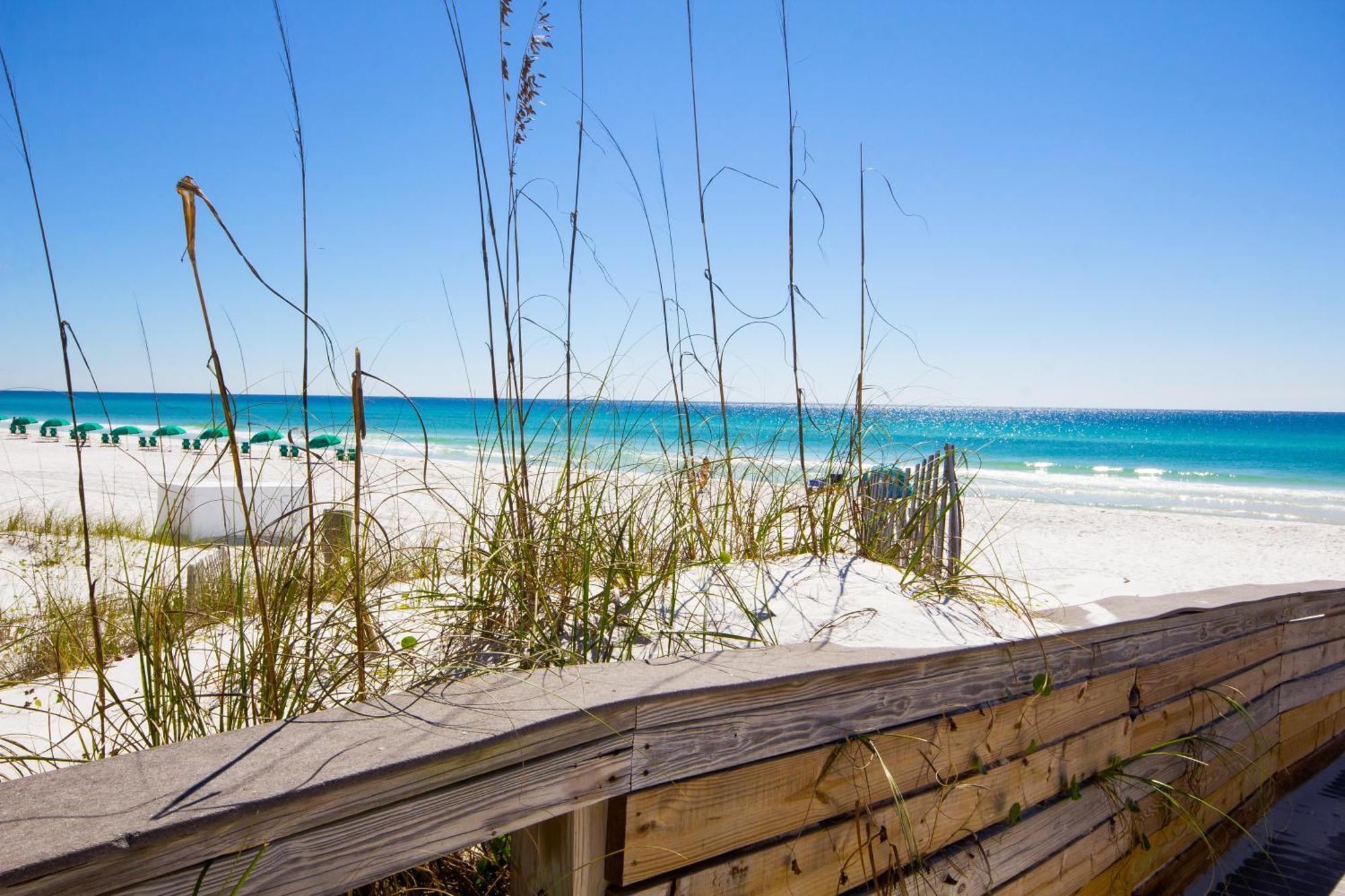 Remarkably Updated 3/2 In Seagrove Highlands - Gulf Views Sleeps 9! 圣罗莎海滩 外观 照片